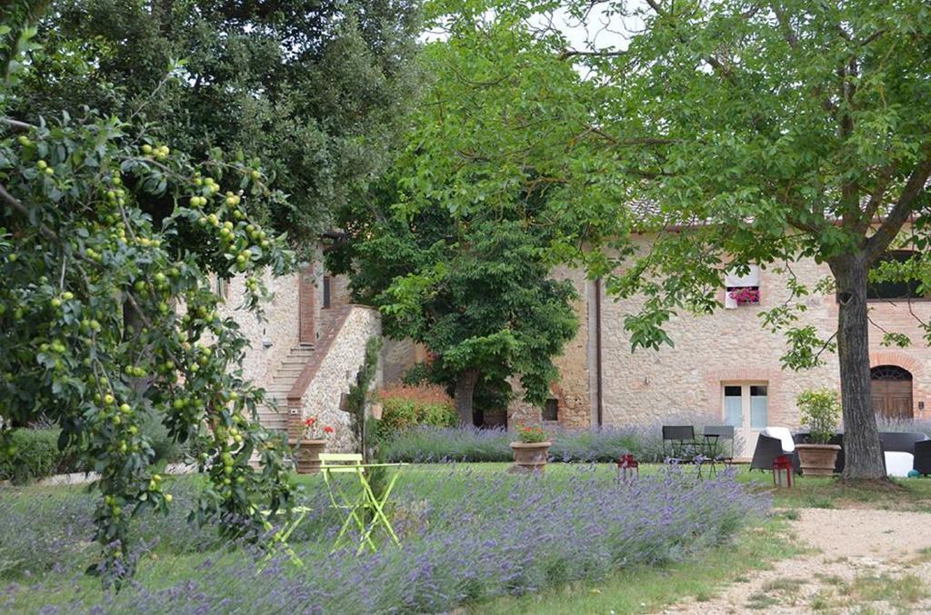 Agriturismo La Segolina Colle Val D'Elsa Exterior photo