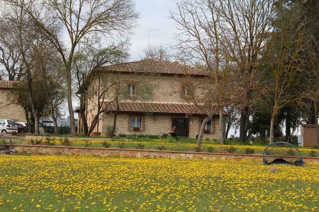 Agriturismo La Segolina Colle Val D'Elsa Exterior photo