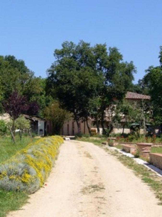 Agriturismo La Segolina Colle Val D'Elsa Exterior photo